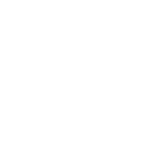TDS logo white